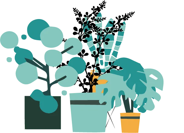 Illustration de 3 plantes en pot pour exprimer le côté botanique