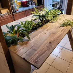 Bar / ilôt à plante