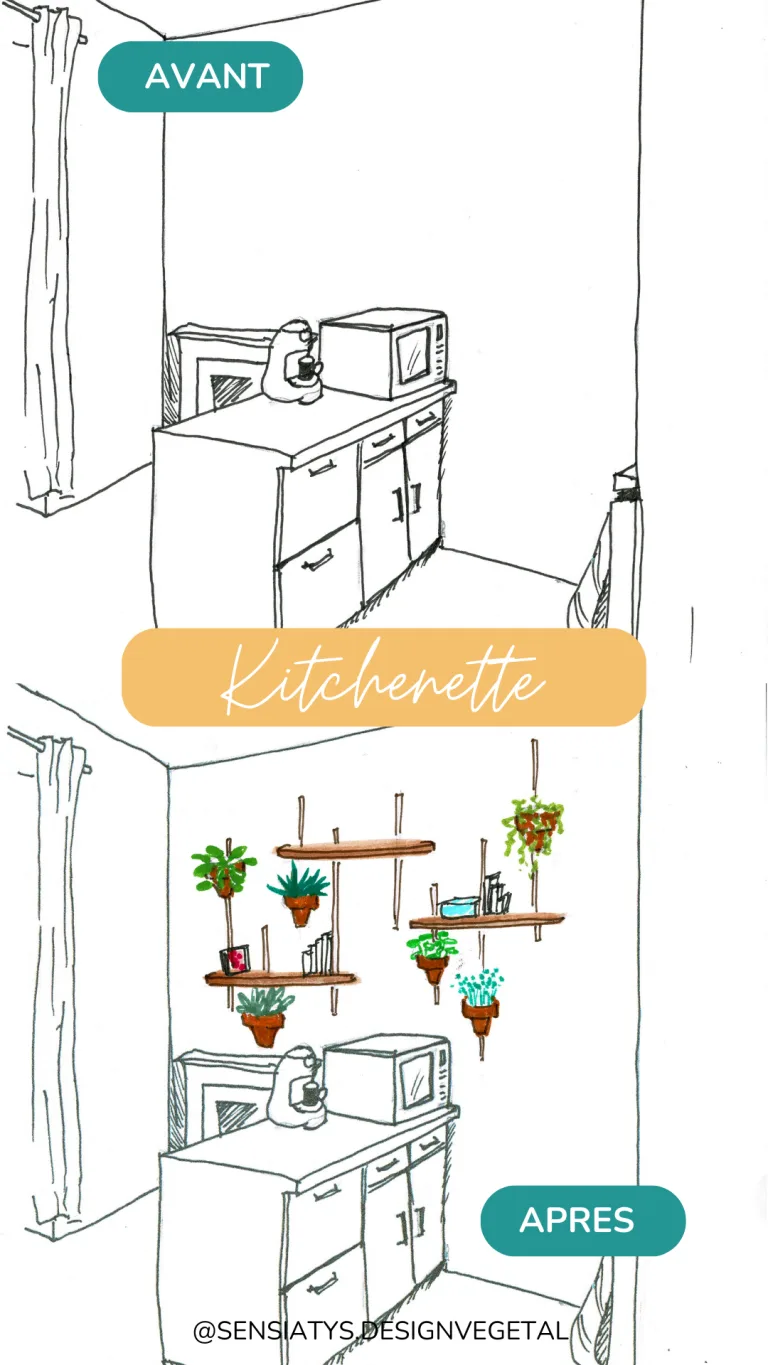 végétalisation intérieur particulier Sensiatys