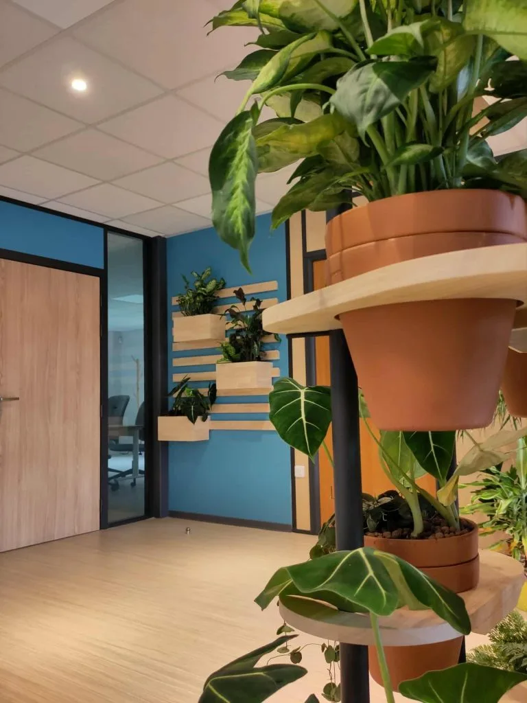 aménager espace de travail - Accueil Auddicé par Sensiatys design végétal