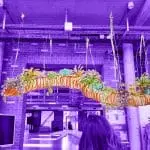 Expo L'utile Invisible - Louvre Lens Vallée