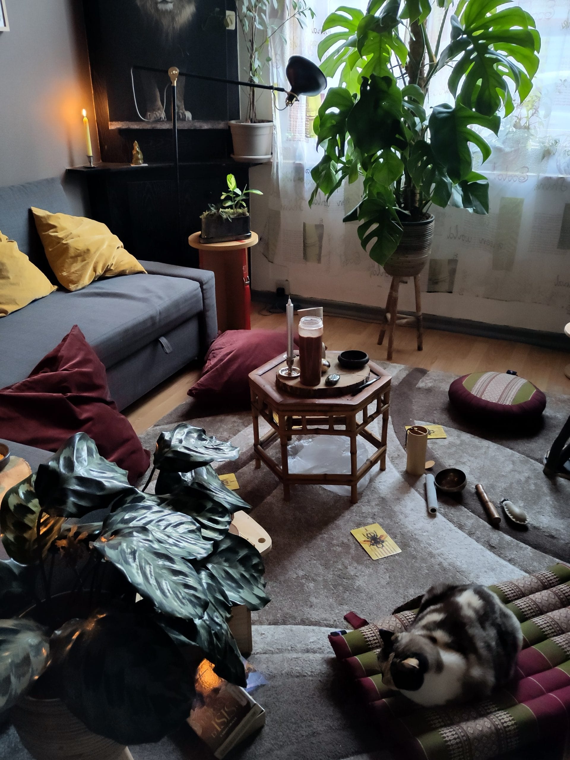 espace atelier Cacao - sensiatys