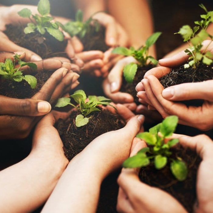 journée de la terre